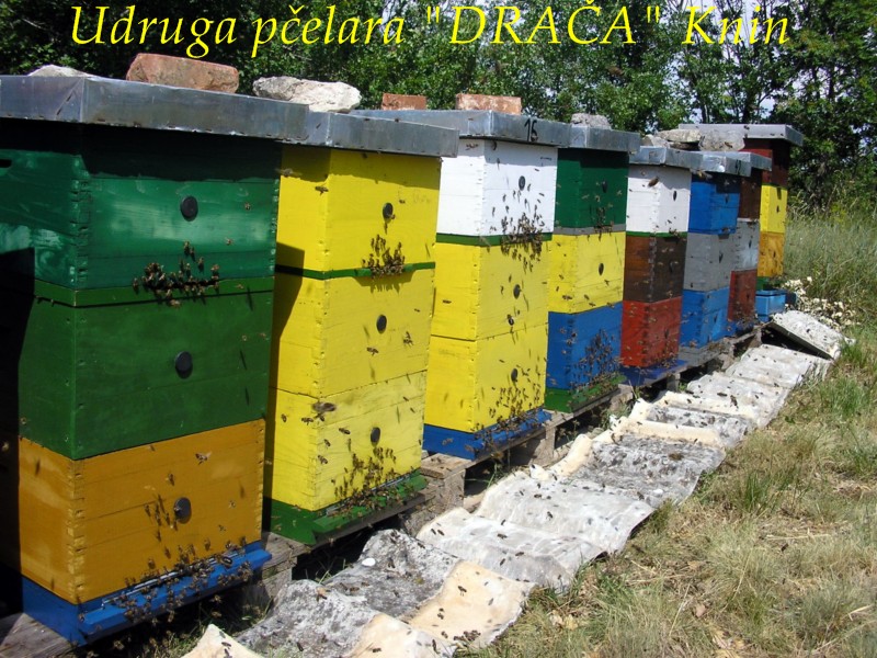 UP_Draca_Knin (16)